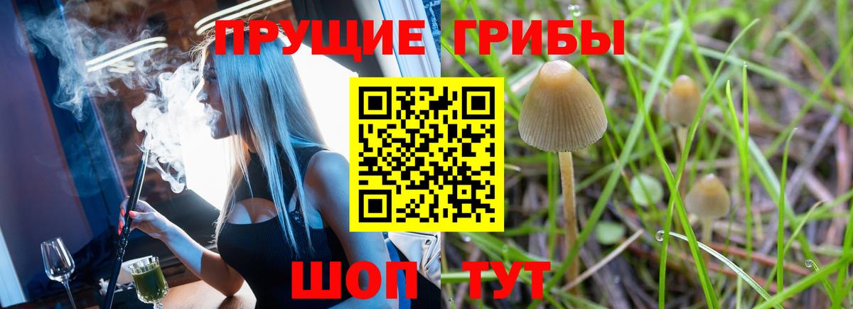 Галлюциногенные грибы мухоморы Строитель